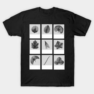 Aesthetic Plants T-Shirt